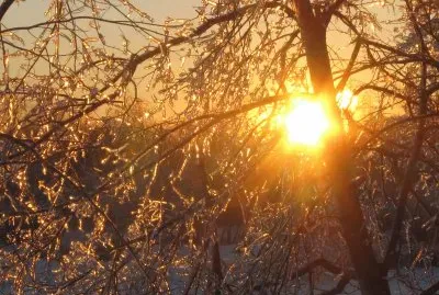 Sunrise after the ice storm NB Jan 24 2017