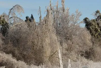 Across the field after ice storm