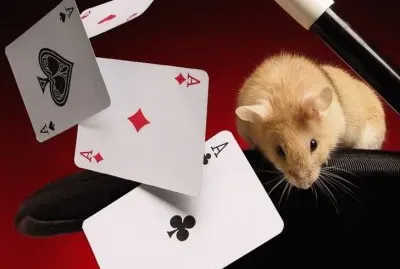 ANIMALES
