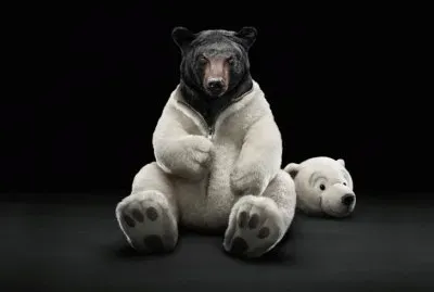 ANIMALES
