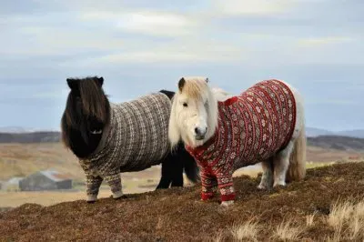 ANIMALES
