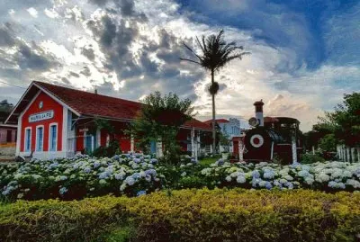 jardim jigsaw puzzle