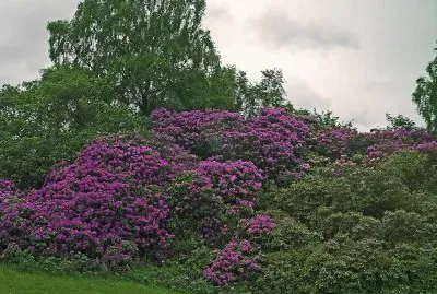 Schottland / Glasgow