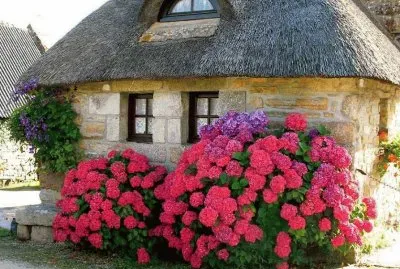cottages