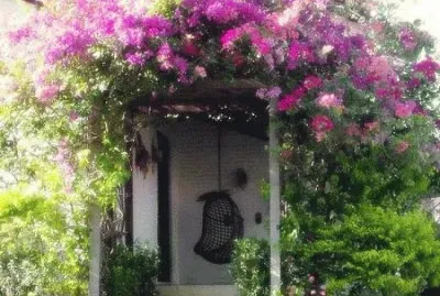 cottage