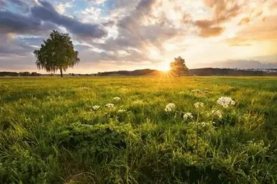 é€å…‰å°æ™¯