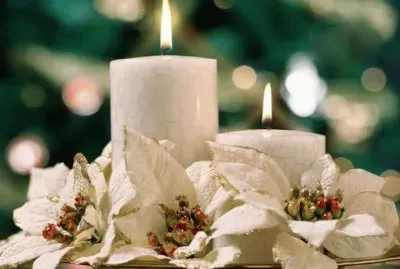 ç‡­å…‰ä¹‹ç¾Ž