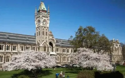 Universidad de Nueva Zelanda, NZ jigsaw puzzle