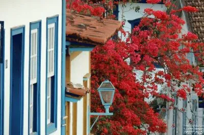 flores jigsaw puzzle