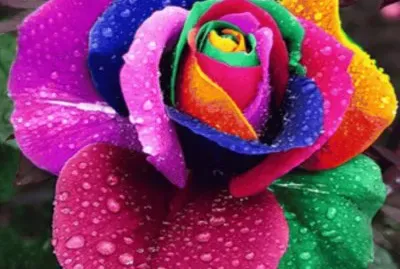 colors jigsaw puzzle