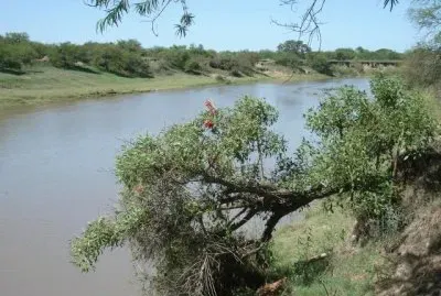 Arroyo PÃ¡jaro Blanco. Santa Fe. Argentina