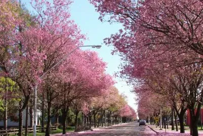 En ParanÃ¡. Entre RÃ­os. Argentina