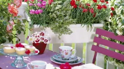 פאזל של terrazas