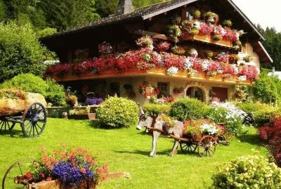 imagens jigsaw puzzle