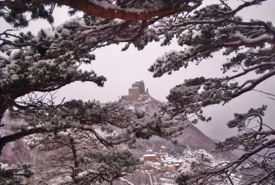 La Sacra fra i rami appare.