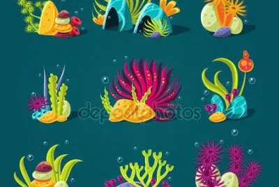 coral