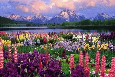naturaleza