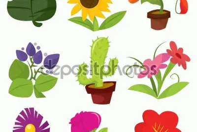 flores