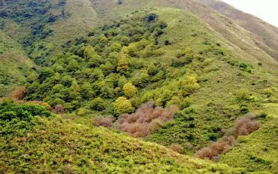 פאזל של Hualinchay. TucumÃ¡n. Argentina