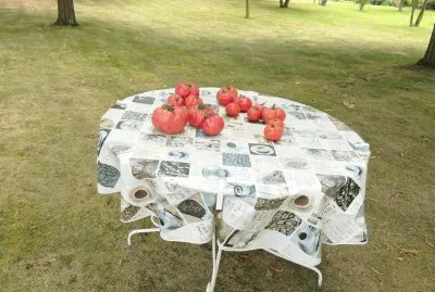 Les bonne tomates du jardin