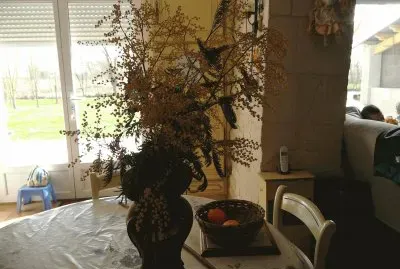 Mimosa jigsaw puzzle