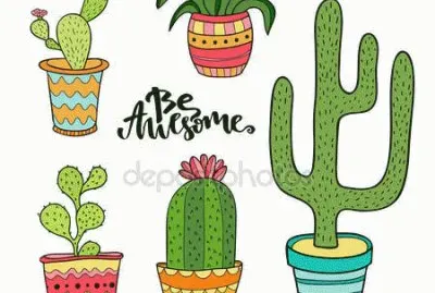 captus jigsaw puzzle