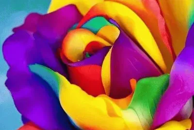 So Beautiful jigsaw puzzle