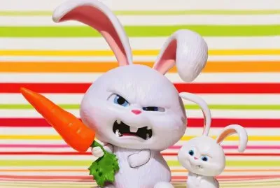 Fotos Graciosas jigsaw puzzle