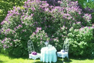 Pretty Garden Tea Setting jigsaw puzzle