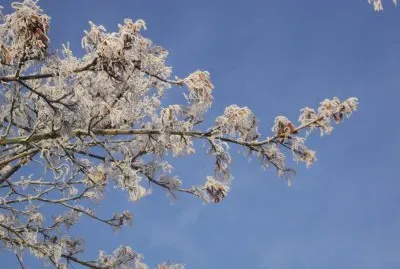 Winterday 2016 in Bremen