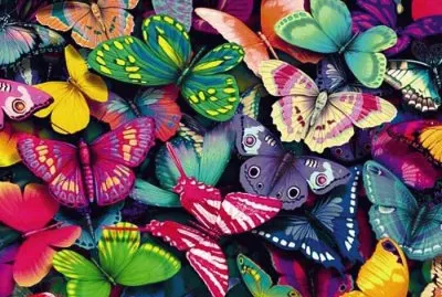 Bunt jigsaw puzzle