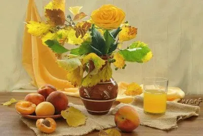 פאזל של imagens