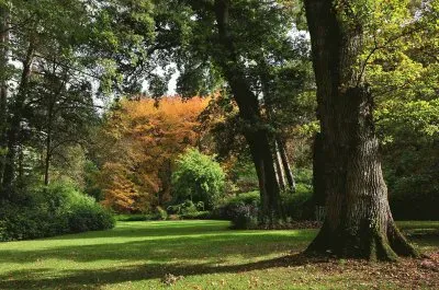 arborÃ©tum jigsaw puzzle