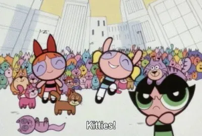 Kitties!