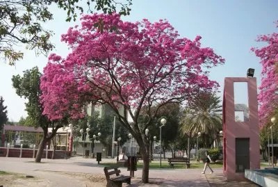 La Banda. Santiago del Estero. Argentina