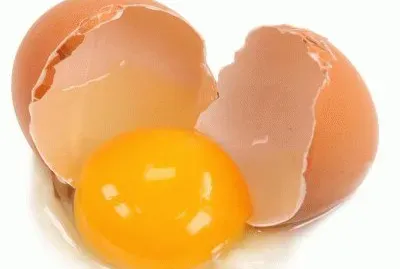 é›žè›‹