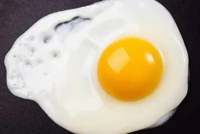 é›žè›‹