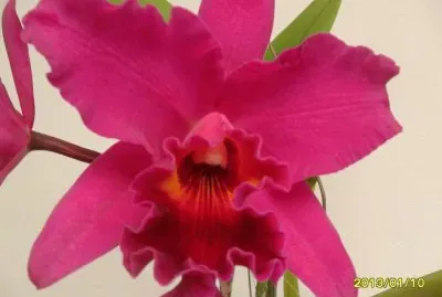 imagens jigsaw puzzle