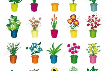 florero jigsaw puzzle