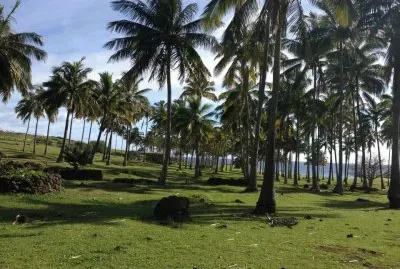 Anakena, isla de pascua