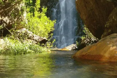 lago