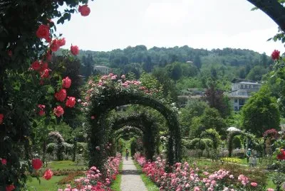 Garden Path - Northern Italy