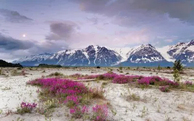 Paisatje