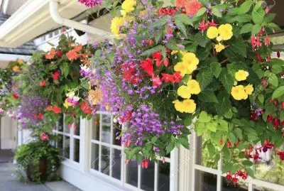 פאזל של Jardines