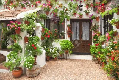 Coraci jigsaw puzzle