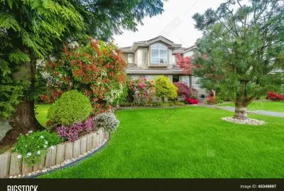 פאזל של cesped