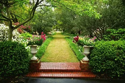 parque
