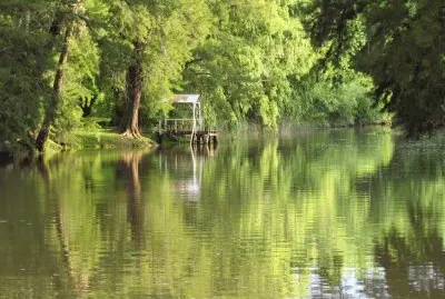 En el Delta. Buenos Aires. Argentina