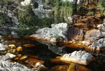 lapa jigsaw puzzle