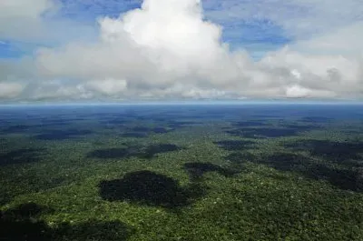 Bosque Amazonia, Brasil